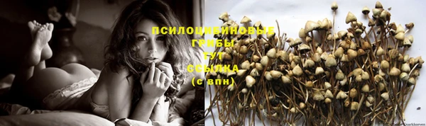 ГАЛЛЮЦИНОГЕННЫЕ ГРИБЫ Елизово