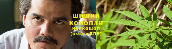 меф Ельня