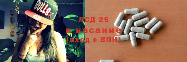 меф Ельня