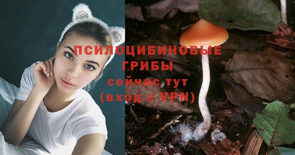 соль ск Елабуга