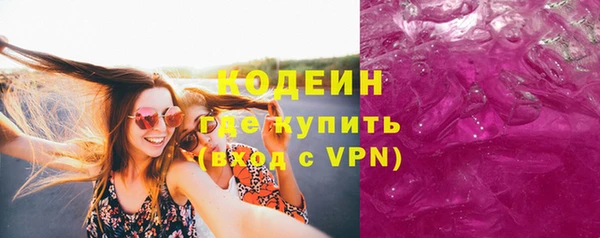 меф Ельня